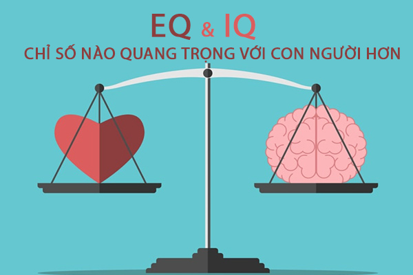 Chỉ số IQ và EQ, chỉ số nào quan trọng với con người hơn?